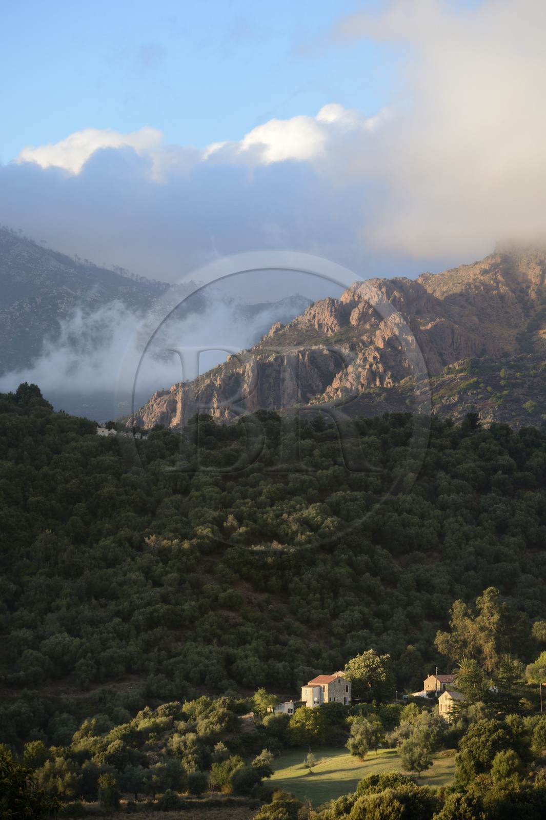 France, Corse-du-Sud (2A), région de Sartène, village de Fozzano