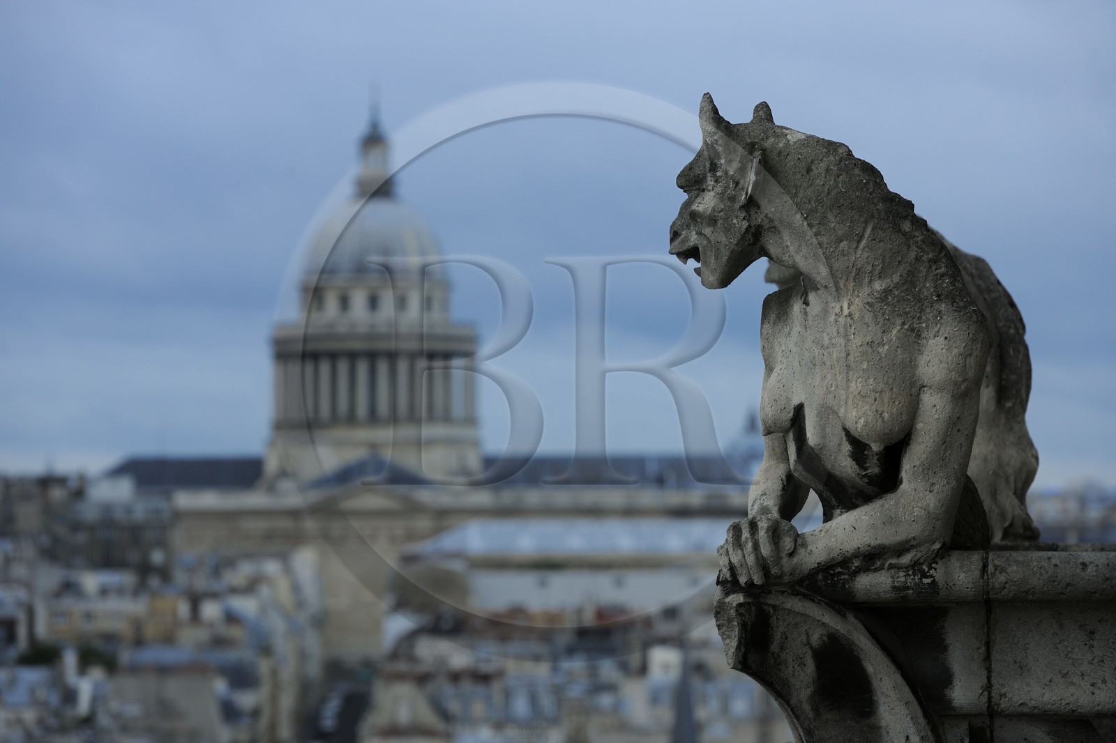 France, Paris (75), île de la Cité, la cathédrale Notre-Dame, une chimère observent le Panthéon