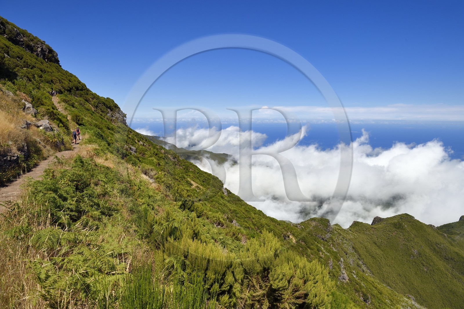 Portugal, Ile de Madère, randonnée sur le Vereda do Areeiro entre les monts Pico Ruivo (1862m) et Pico Arieiro (1817m), randonneurs sur le sentier qui monte depuis Achada do Teixeira