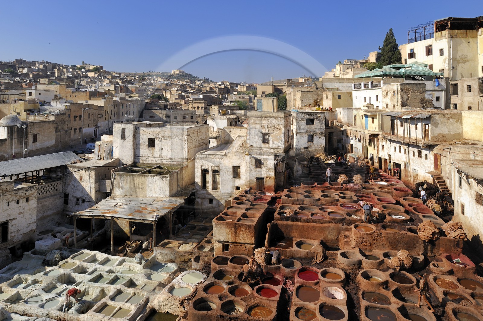 Maroc, Moyen Atlas, Fès, ville impériale, médina classée Patrimoine Mondial de l'UNESCO, Fès el Bali, quartier des tanneurs, Chouara