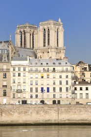 France, Paris (75), Ile de la Cité, Notre-Dame émergeant du quai aux fleurs