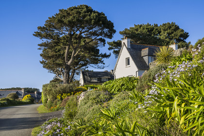 France, Côtes-d'Armor, Cote d'Ajoncs, Plougrescant, Porz Bugalé hamlet