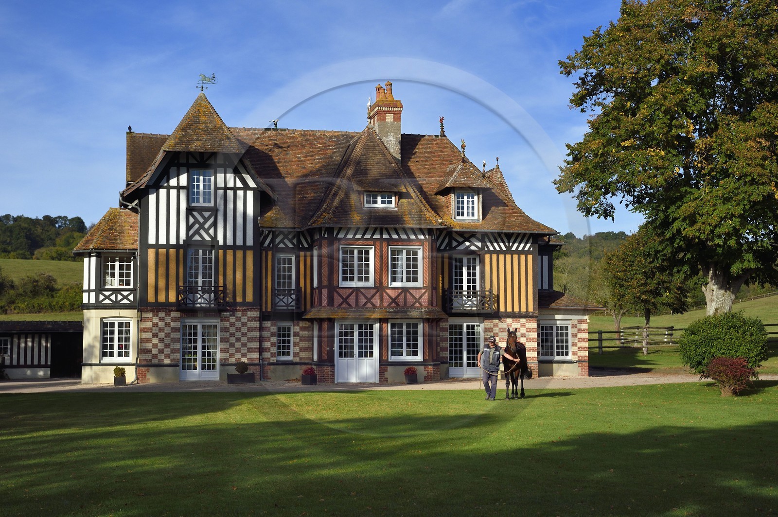 France, Calvados (14), Pays d'Auge, Beuvron-en-Auge, labellisé Les Plus Beaux Villages de France, manoir du Haras de Sens, le cheval Gold de Padd (fils de l'étalon Ready Cash) tenu par le stud groom Dominique Blachet