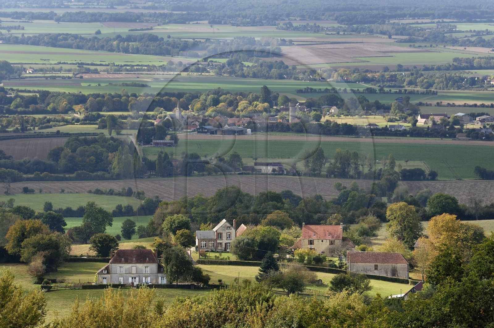 France, Orne (61), Pays d'Auge, la campagne à  Louvières-en-Auge