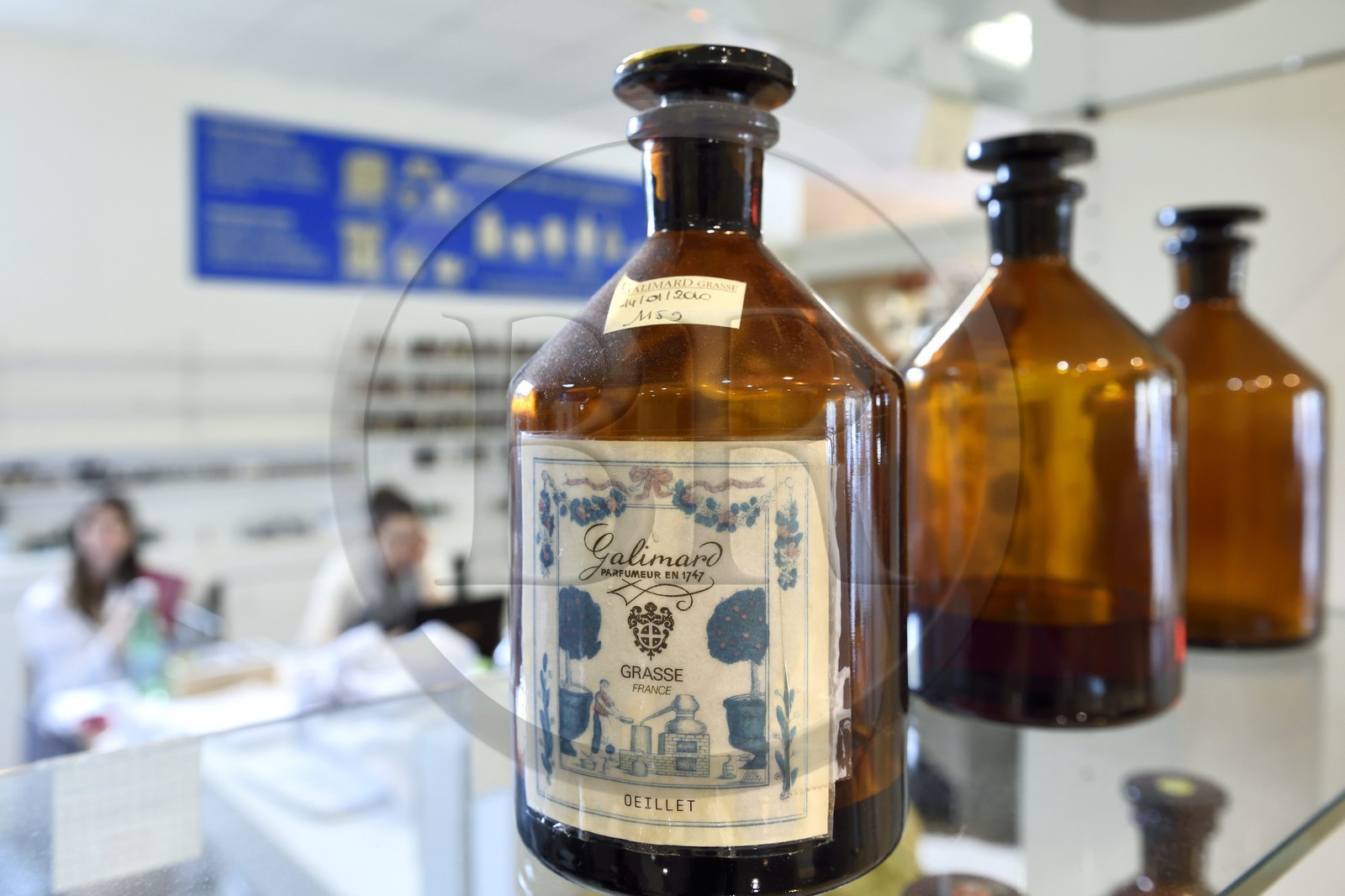 France, Alpes-Maritimes (06), Grasse, Studio des Fragrances Galimard, flacon d'extrait d'oeillet