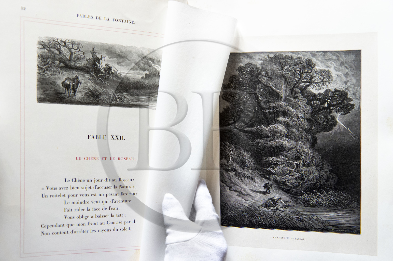 France, Aisne, Château-Thierry, Jean de La Fontaine Museum - city of Chateau-Thierry,  La Fontaine's Fables book, L. Hachette et Cie, illustrated edition (1867) by the designer and engraver Gustave Doré, the Oak and the Reed fable XXII of book I