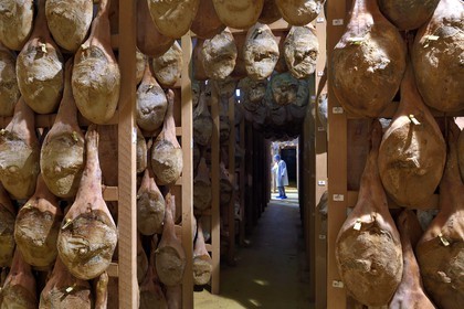 France, Pyrénées-Atlantiques (64), Pays-Basque, vallée des Aldudes, le Séchoir Collectif des Aldudes assure une prestation de séchage et l'affinage de jambons, zone de l'affinage