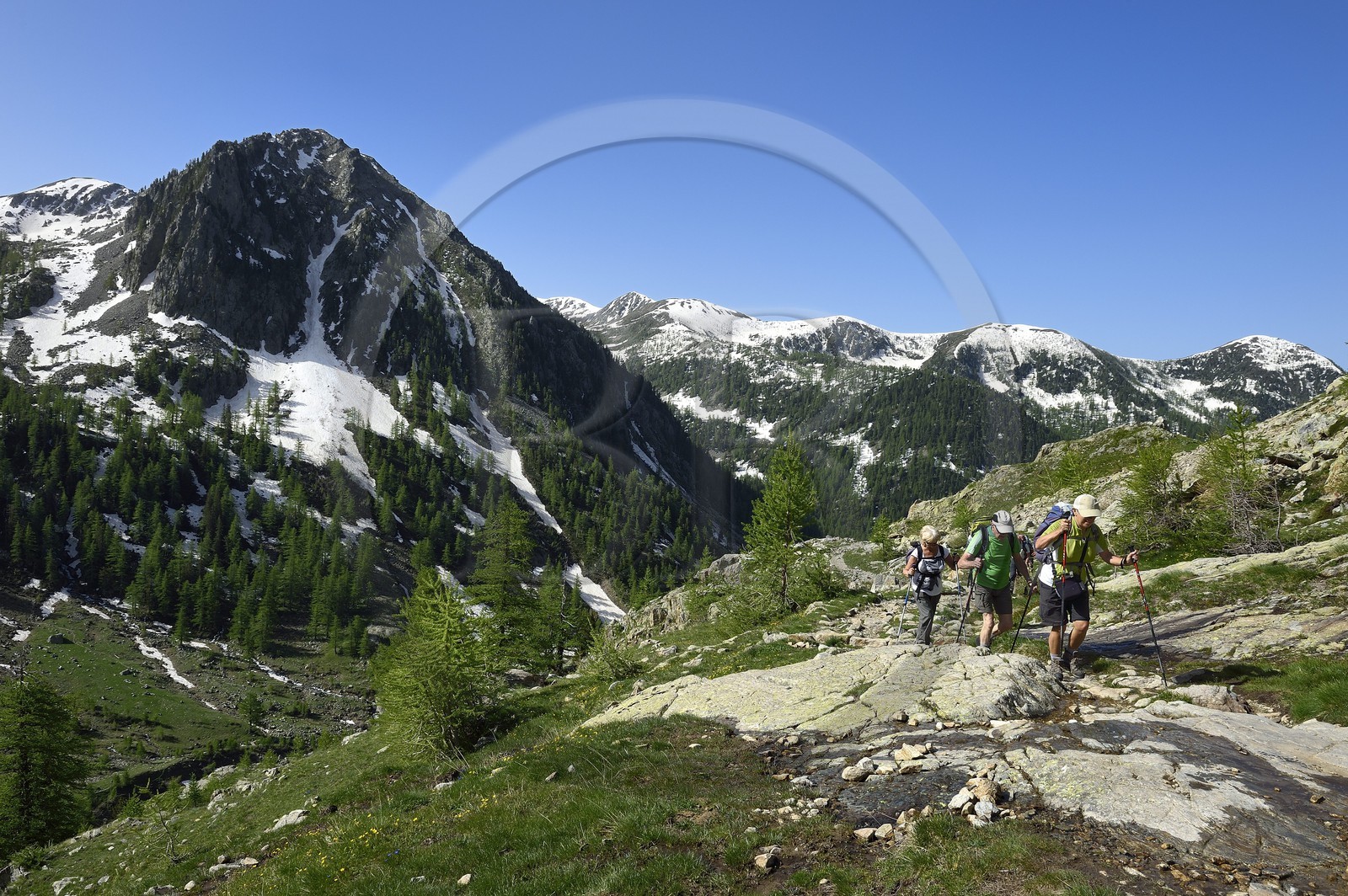 France, Alpes-Maritimes (06), parc national du Mercantour, Haute-Vésubie, randonnée dans le vallon de la Madone de Fenestre