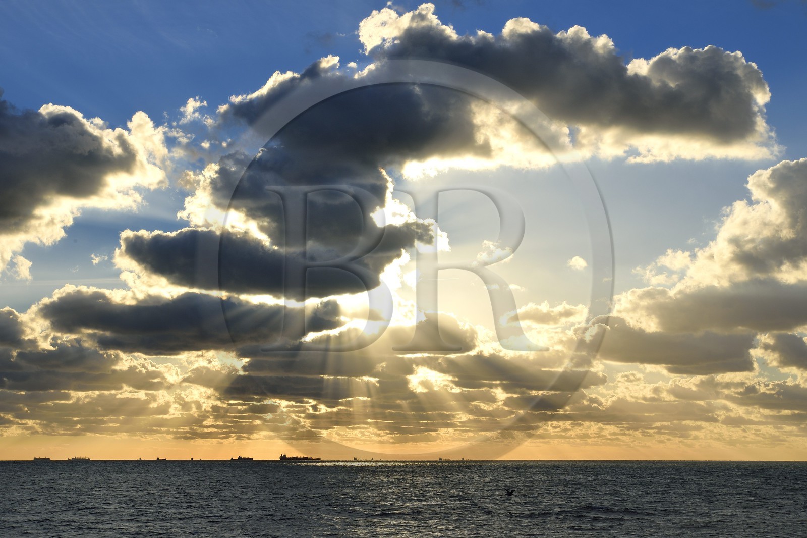 France, Seine-Maritime (76), Le Havre, cargos au mouillage au large en zone d'attente portuaire du Havre