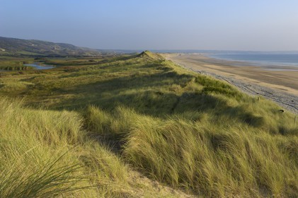 France, Manche (50), Cap de la Hague, dunes de l'anse de Vauville