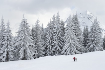 France, Haute-Savoie (74), Morzine
