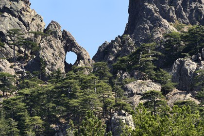 France, Corse-du-Sud (2A), Alta Rocca, Bavella, lieu dit du Trou de la Bombe appelé localement Tafonu di U Cumpuleddu (trou de l’enclos du berger)