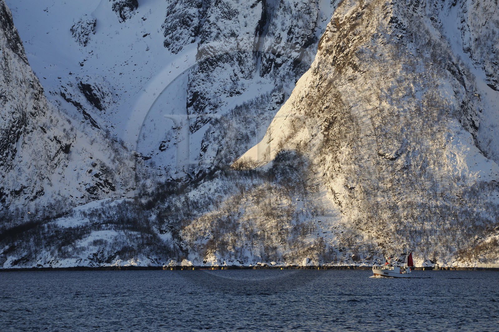Norvège, Nordland, iles des Westeralen, région de Myre, bateau de pêche du cabillaud skrei