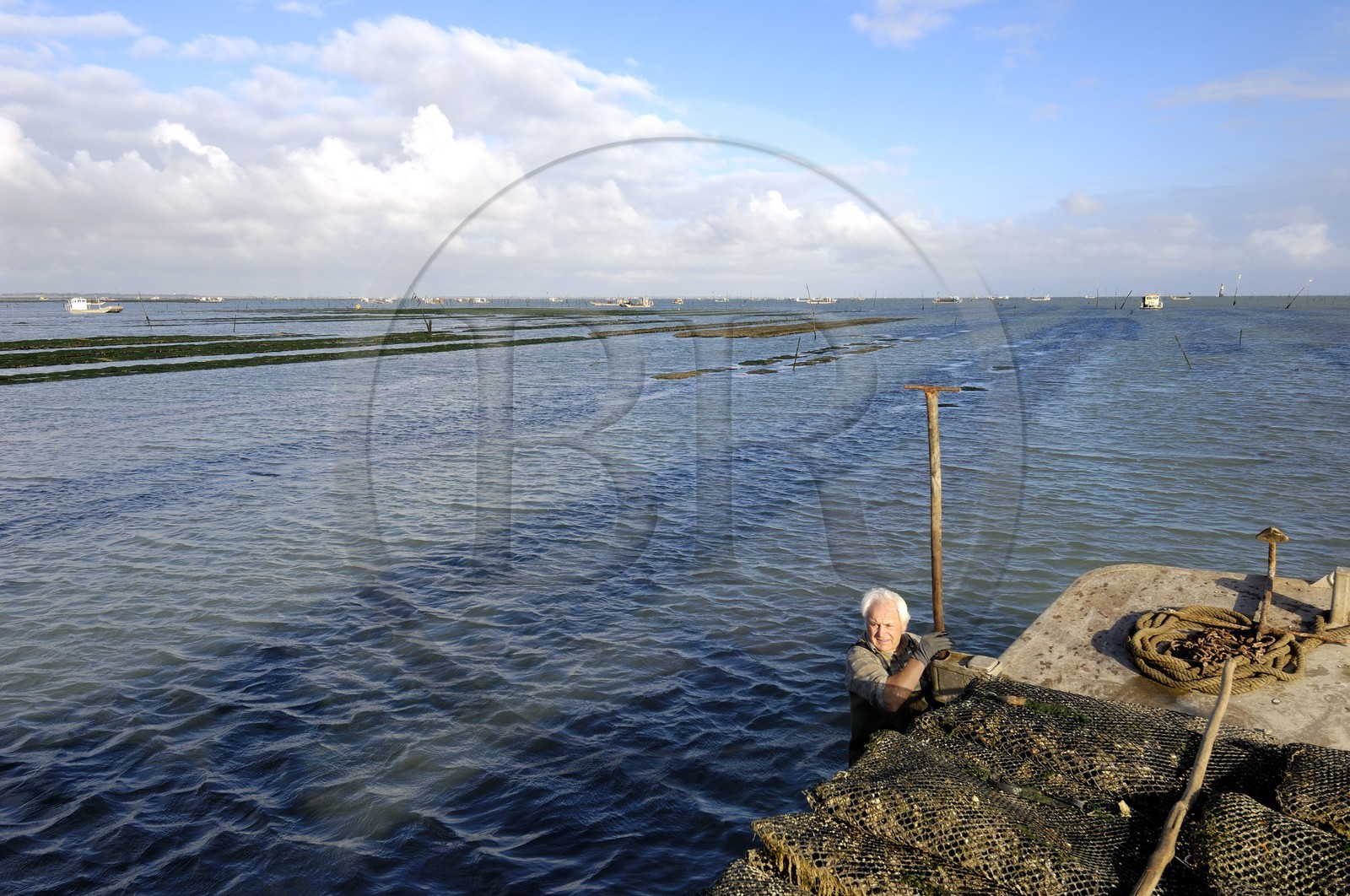 France, Charente-Maritime (17), le bassin Marrennes-Oléron au large de l'Ile d'Oléron, l'ostréiculteur André Massé dans un de ses parcs à huîtres