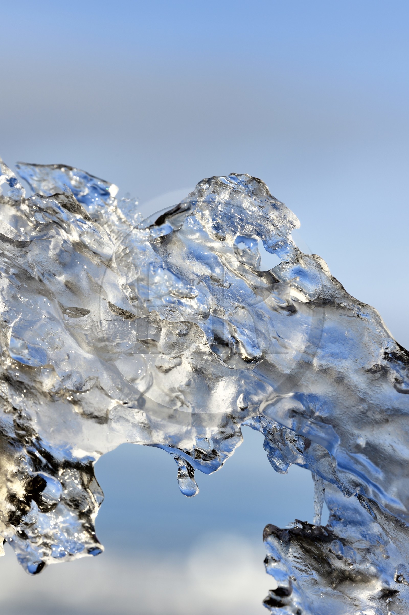 Groenland, cote Nord-Ouest, Smith sound, gros plan sur un morceaux de glace de la banquise arctique qui a presque totalement fondu (frasil)