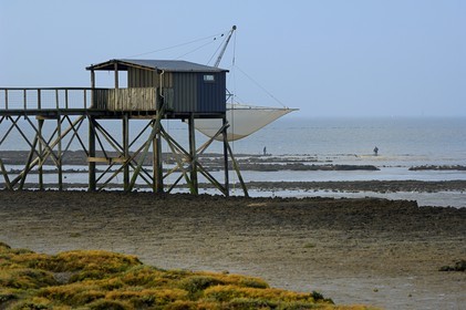 France, Charente-Maritime (17), Ile Madame, carrelets sur la côte
