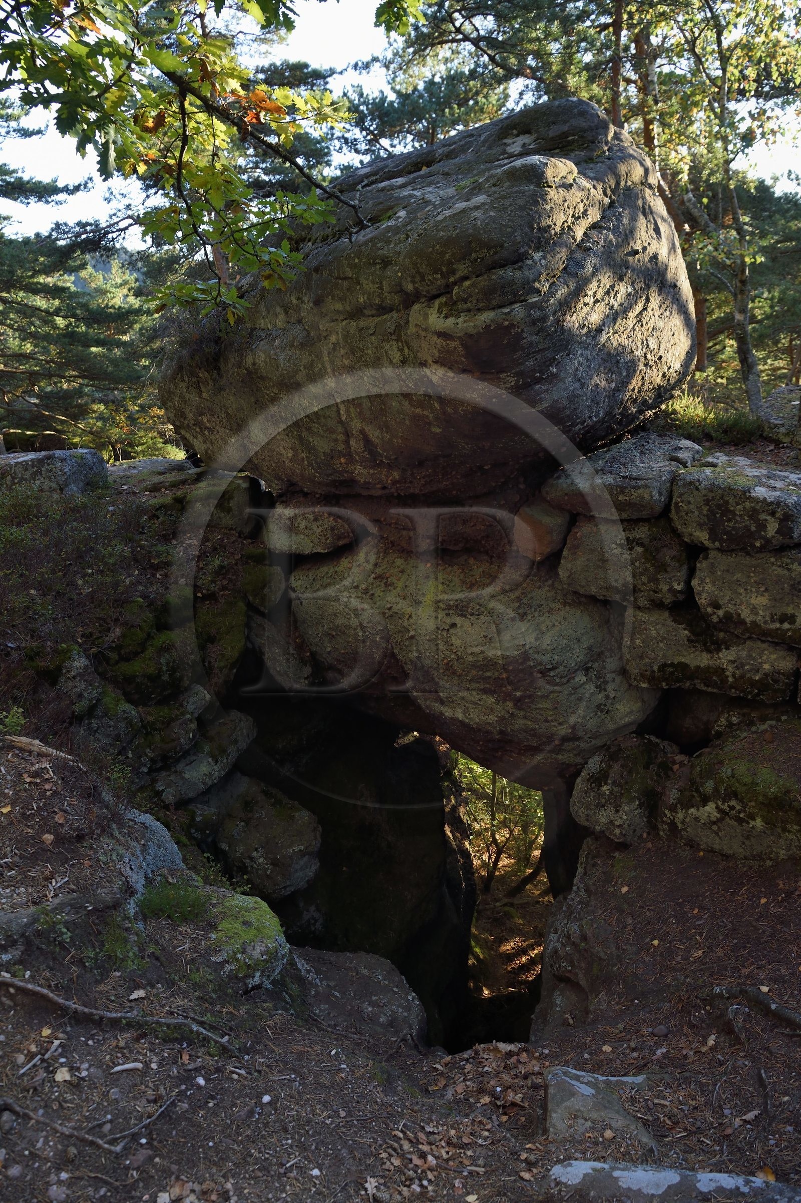 France, Bas Rhin, Mont Saint Odile, sandstone rock in the Pagan Wall, vestige of a wall probably from the Merovingian period with a total length of eleven kilometers, postern