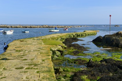 France, Finistère (29), Penmarc'h, Pointe de Penmarch, port Saint-Pierre