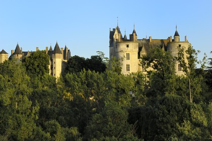 France, Maine et Loire (49), château de Montreuil-Bellay