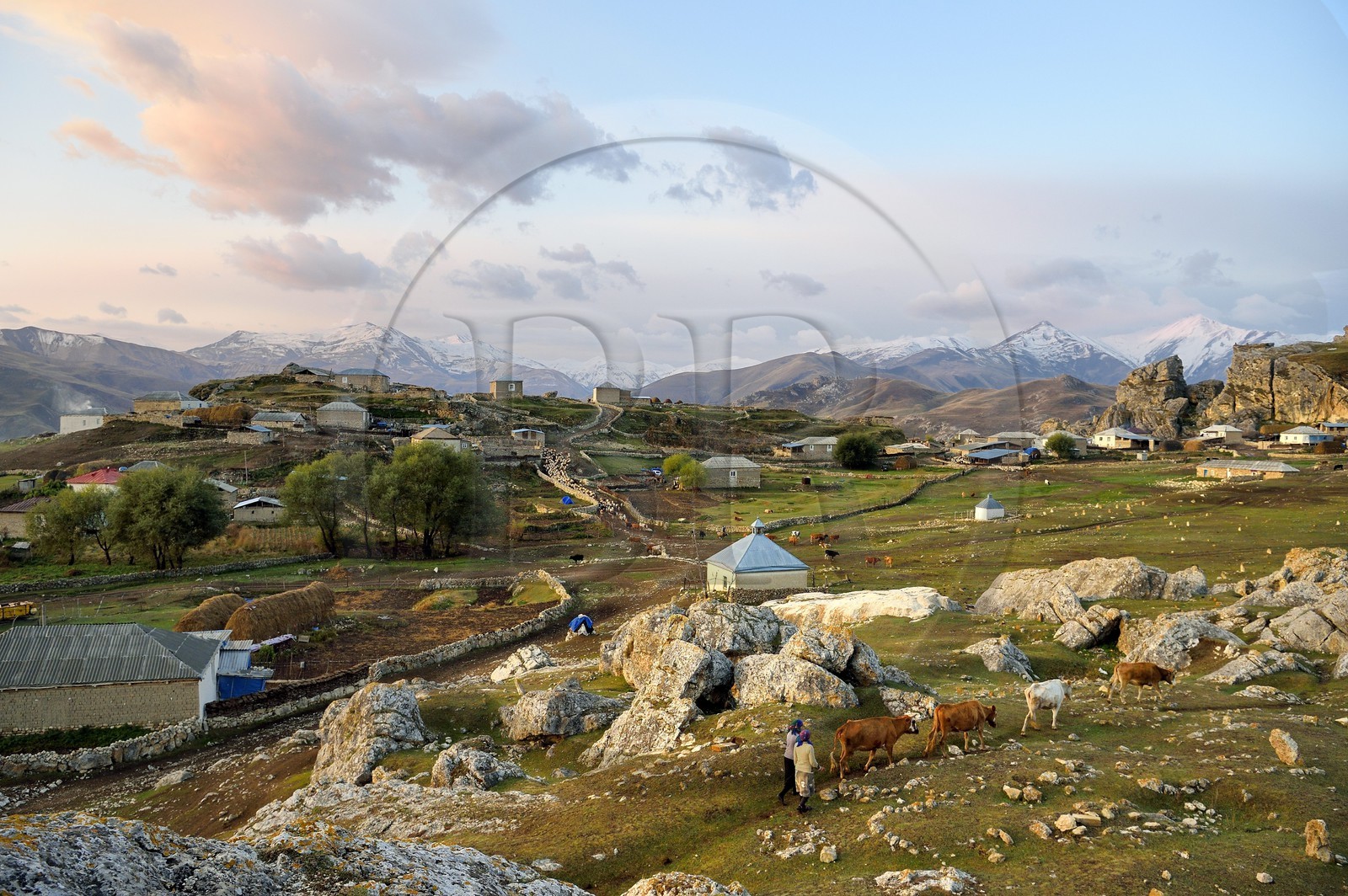 Azerbaijan, Quba (Guba) region, Greater Caucasus mountain range, village of Giriz at dawn, women bringing their cows to meadows