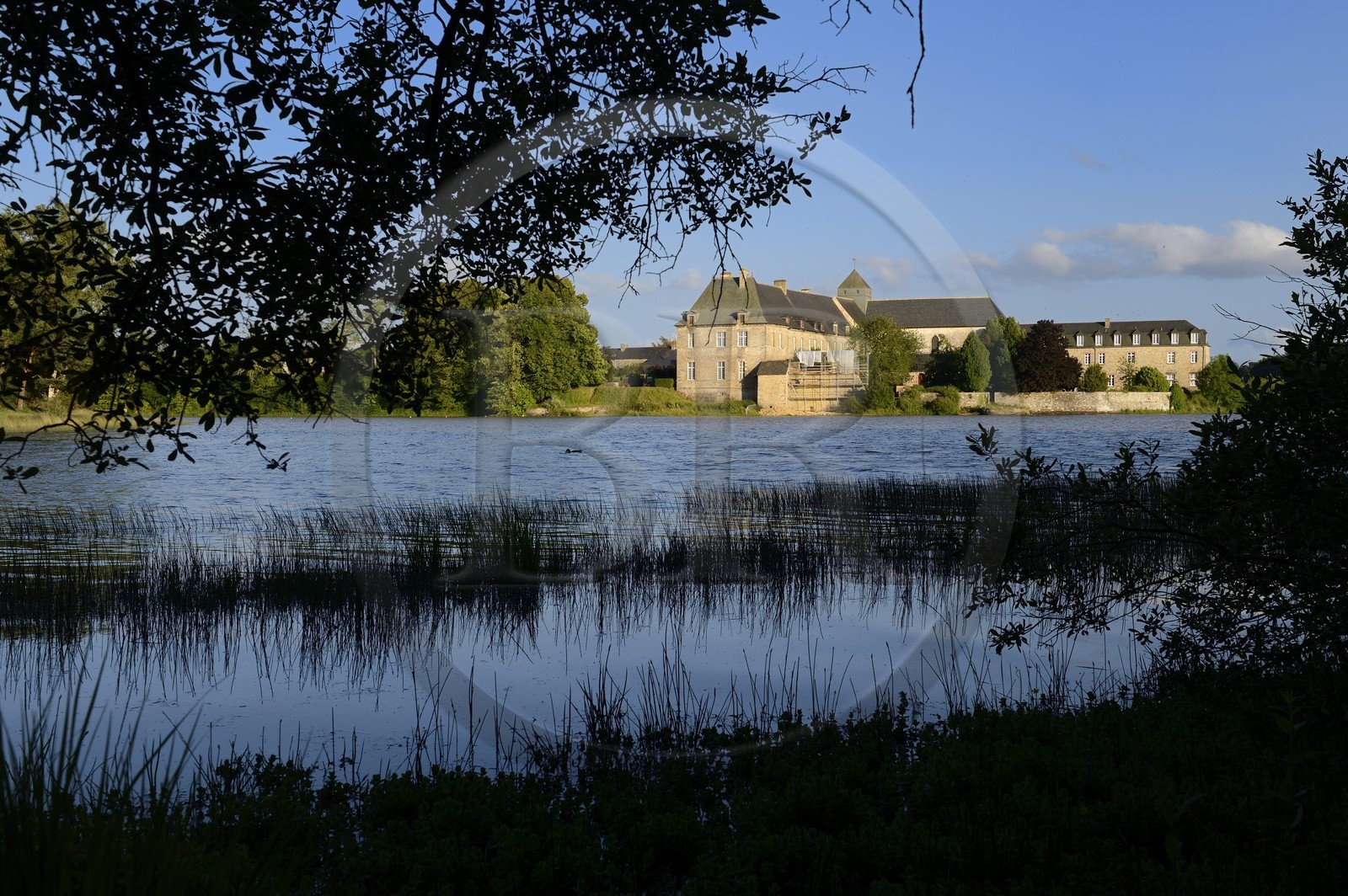 France, Ille-et-Vilaine (35), forêt de Brocéliande, l'abbaye de Paimpont en bordure de l'étang