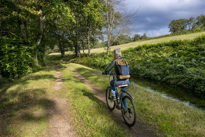 France, Nièvre (58), Parc naturel régional du Morvan, Montreuillon, cycliste sur le chemin bordant la Rigole d'Yonne qui puise les eaux de l'Yonne au lac de Pannecière et alimente le canal du Nivernais