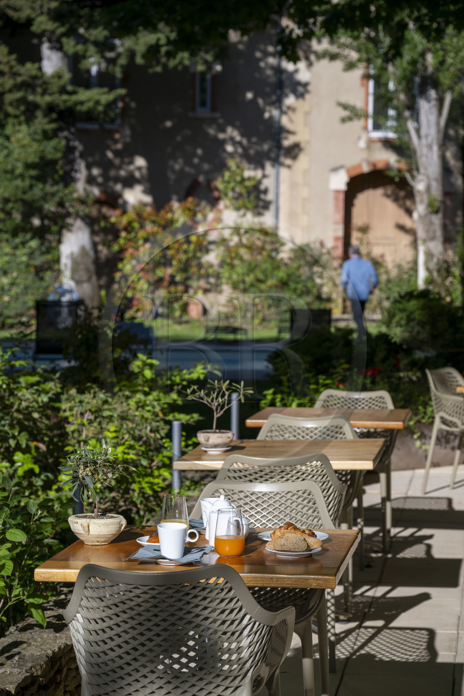 France, Vaucluse, Dentelles de Montmirail mountains, Gigondas, breakfast at grand hotel-restaurant de Montmirail