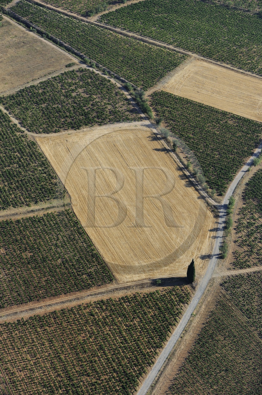 France, Aude (11), vignoble dans le Massif des Corbières (vue aérienne)