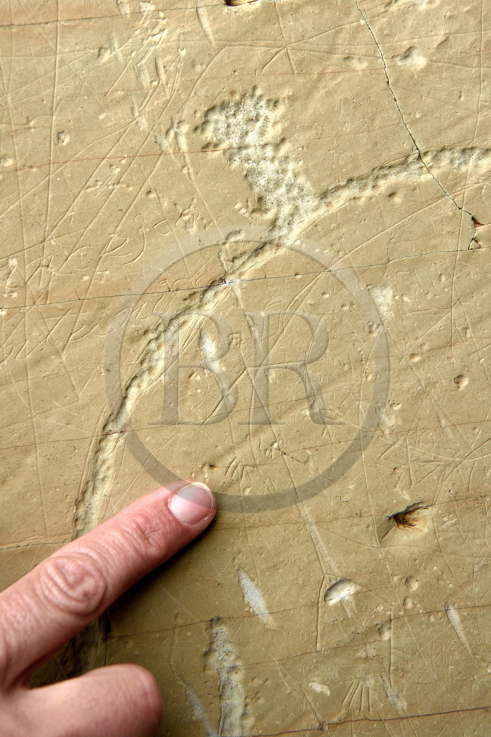 France, Alpes-Maritimes, parc national du Mercantour (Mercantour National Park), the Vallee des Merveilles (Valley of Wonders) scattered with thousands of rupestral engravings of the Bronze Age, the chiappes yellow schist flagstones