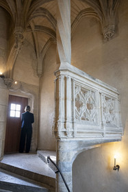 France, Côte-d'Or (21), Dijon, zone classée Patrimoine Mondial de l'UNESCO, le haut de l'escalier de la Tour Philippe Le Bon