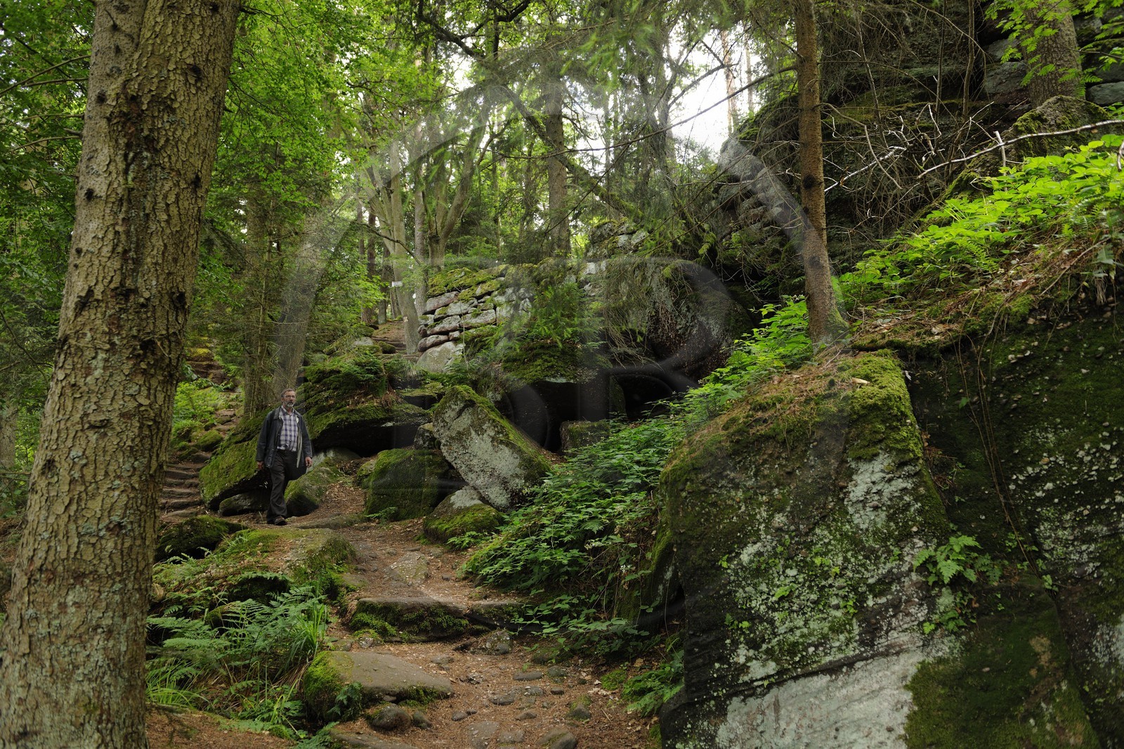 France, Bas-Rhin (67), le Mont Saint-Odile, le mur païen