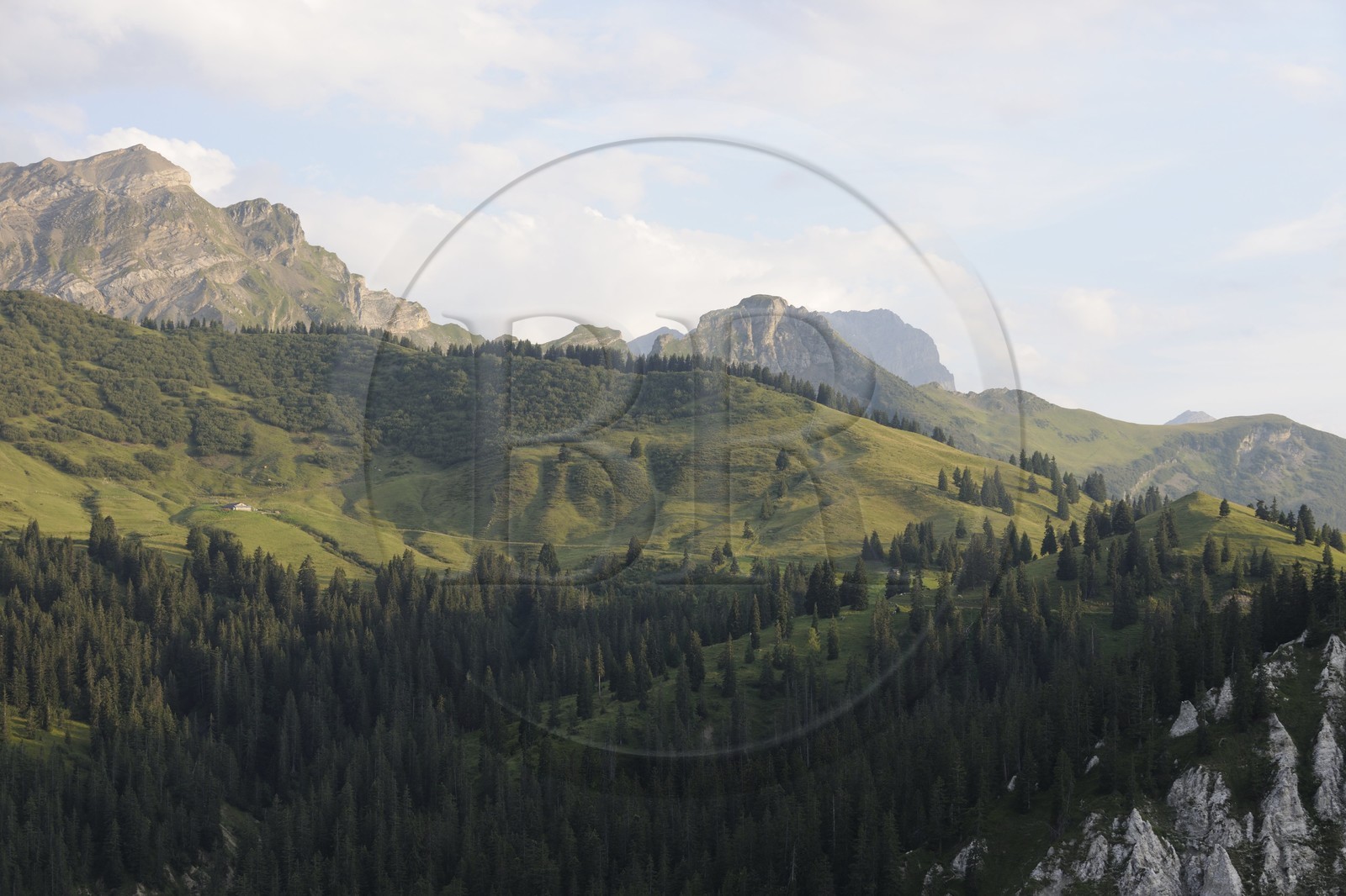 Suisse, canton de Vaud, Les Diablerets au Col de la Croix