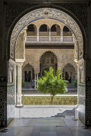 Spain, Andalusia, Seville, the Alcazar of Seville (Reales Alcazares de Sevilla), listed as World Heritage by UNESCO, Palais mudéjar ou de Pierre Ier, the Maidens Courtyard (Patio de las Doncellas)