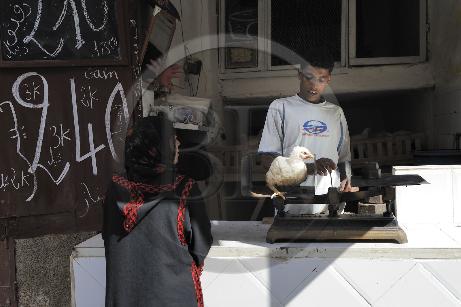 Maroc, Moyen Atlas, Fès, ville impériale, médina classée Patrimoine Mondial de l'UNESCO, Fès el Bali, vendeur de poules dans son échope
