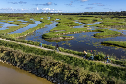 France, Vendée (85), Talmont-Saint-Hilaire, marais de la Guittière dans l'arrière pays de la Pointe du Payré, cycliste sur la piste de la véloroute Vendée Vélo Tour et Vélodyssée au passage du Cul d’Ane, marais aménagés pour la pisciculture de dorades, mulets et anguilles (vue aérienne)