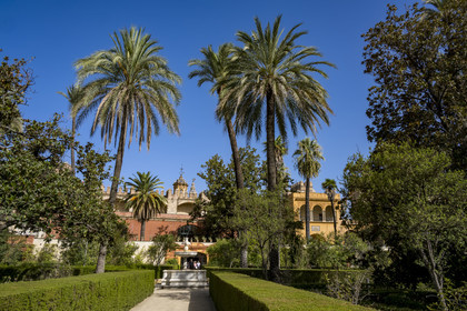 Spain, Andalusia, Seville, the Alcazar of Seville (Reales Alcazares de Sevilla), listed as World Heritage by UNESCO, garden of the Dames (jardin de las Damas), fountain of Neptune