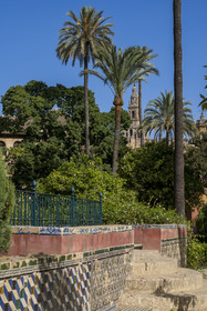 Spain, Andalusia, Seville, the Alcazar of Seville (Reales Alcazares de Sevilla), listed as World Heritage by UNESCO, the gardens and the Giralda in the background