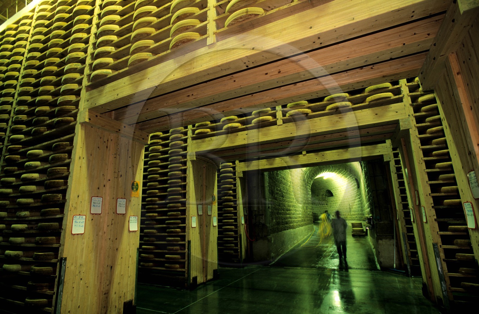 France, Doubs, Fort Saint Antoine, Comte mountain cheese maturing cellar