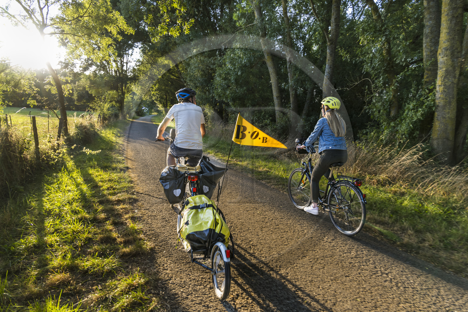 France, Maine-et-Loire (49), vallée de la Loire classée au Patrimoine Mondial par l'UNESCO, Saumur vers Saint-Hilaire, randonnée à bicyclette le long des berges de la Loire sur la piste cyclable La Loire à Vélo, vélo avec une remorque transportant le matériel de camping