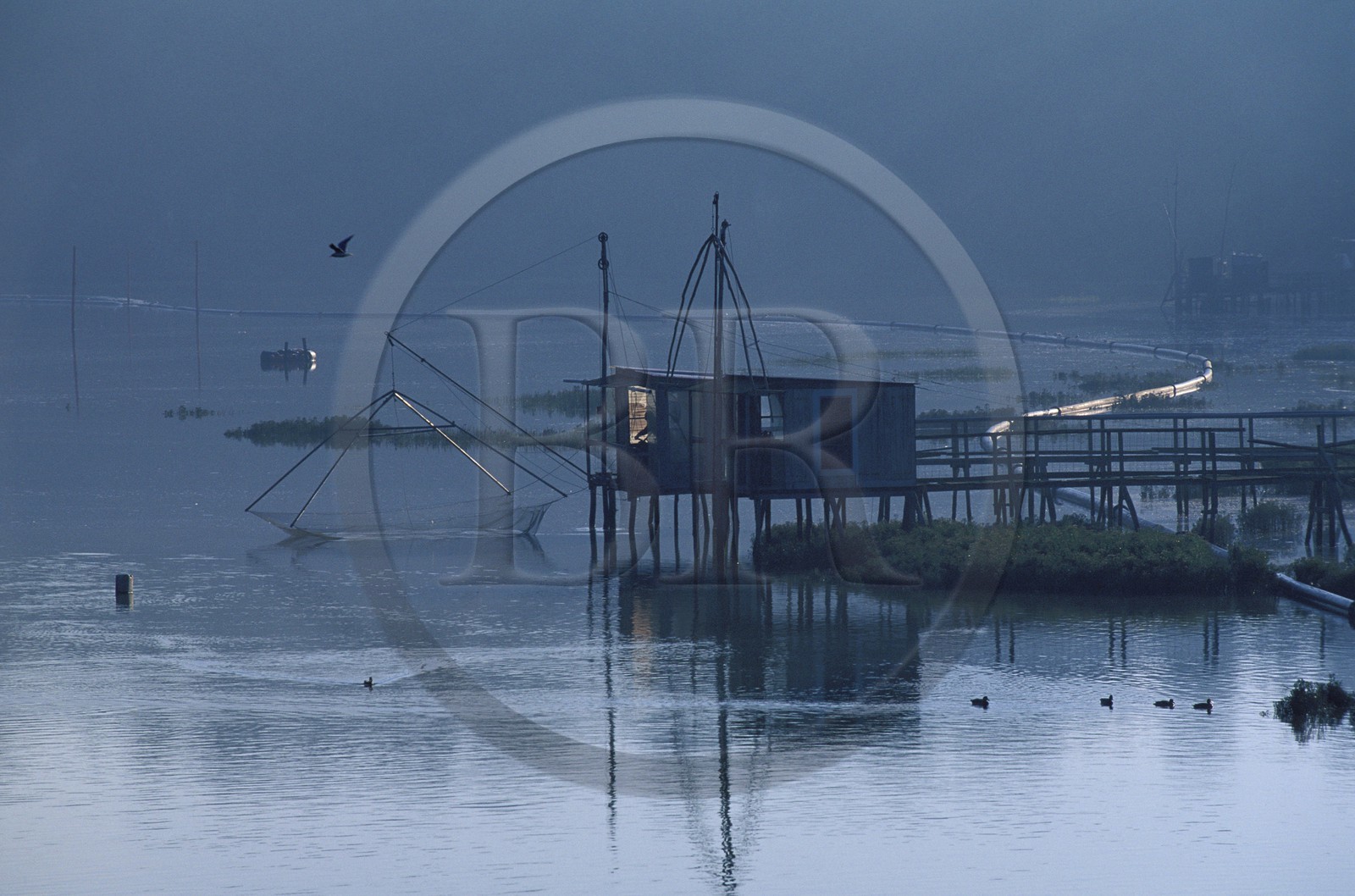 France, Côtes-d' Armor (22), carrelets en aval de l' écluse du Chatelier sur la Rance