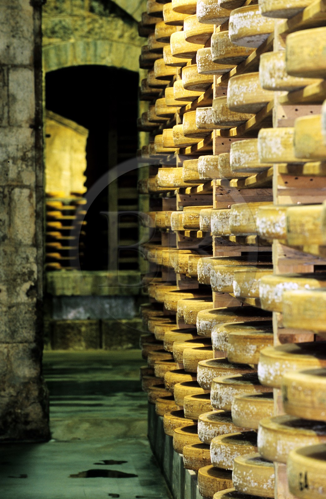 France, Doubs (25), Fort Saint Antoine, cave d'affinage du Comté de montagne