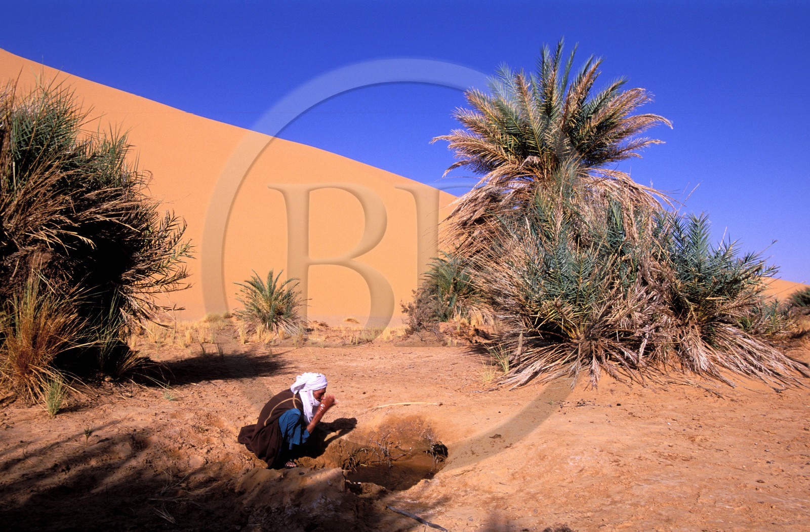 Libya, region of the desert, the Fezzan (Sahara), Tuareg at the edge of a well of the small oasis of Takioumet