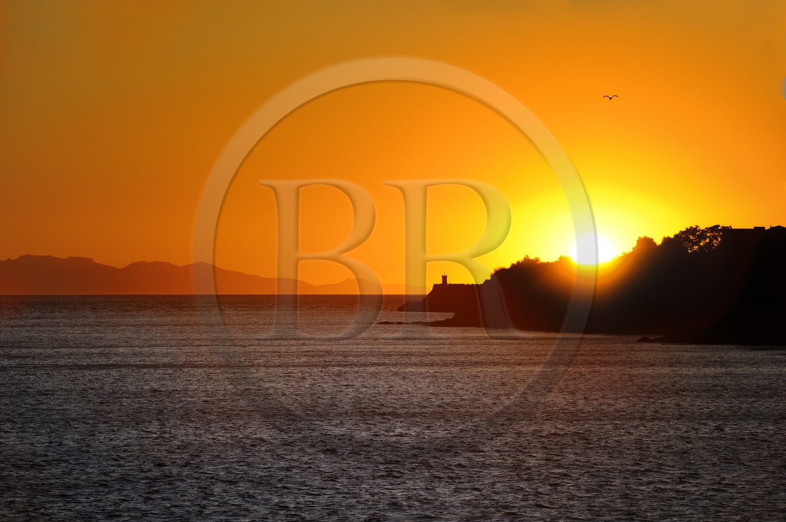 Italy, Tuscany, the Island of Elba at sunset and the coast at Piombino in the foreground