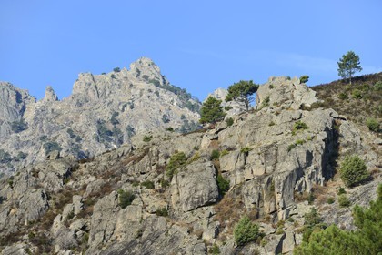 France, Haute-Corse (2B), Corte, Vallée de la Restonica