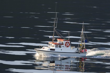 Norvège, Nordland, iles des Westeralen, bateau de pêche