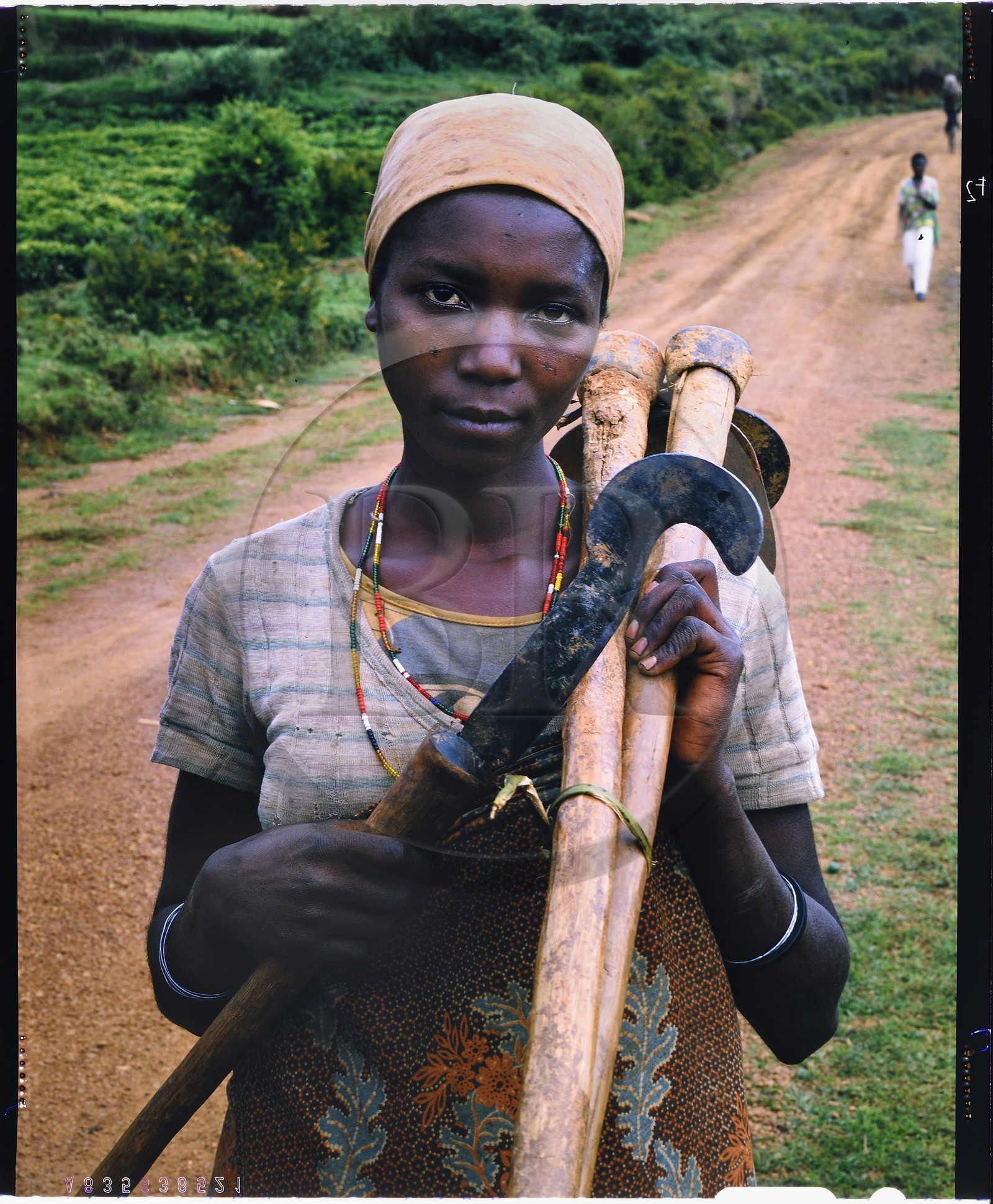 Burundi, Bujumbura Province, Ijenda area, Hutu woman returning from the fields, the scars she bears on her face shows she is Hutu, Tutsi never having any in the face, the Hutus are of Bantu origin and are traditionally farmers, most of them were until recently sharecroppers as the land was not theirs (4x5 reversal film reproduction)