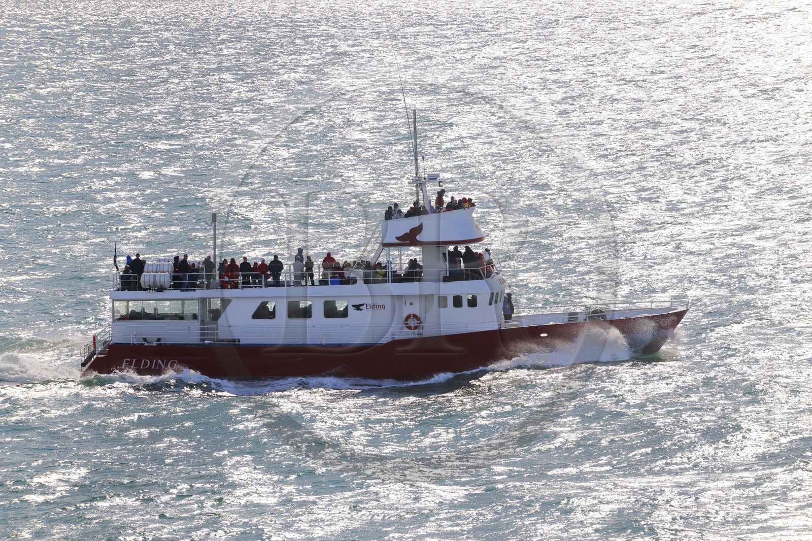 Islande, Reykvavik, bateau d'observation des baleines pour les touristes
