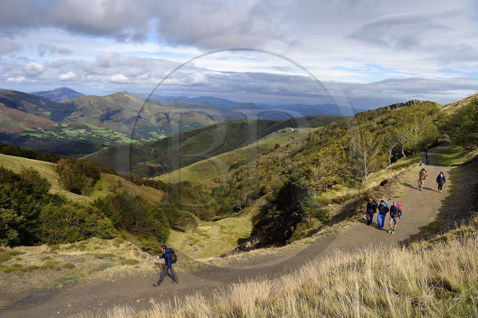 France, Pyrenees Atlantiques, Basque Country, Camino de Santiago (the Way of St. James) on the GR 65 between Saint Jean Pied de Port and Roncesvalles, pilgrims on the slopes of the Leizar Atheka and the Valley of Luzaide in Navarre in the background