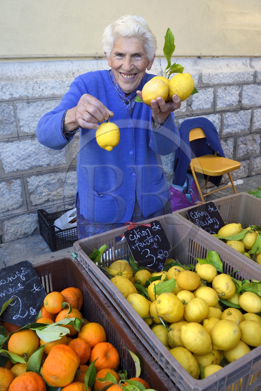France, Alpes-Maritimes (06), Menton, marché couvert, halle municipale, la productrice Julie vend ses citrons de Menton