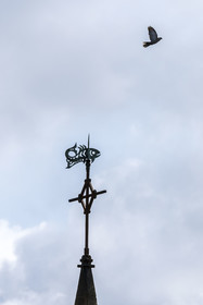 France, Cotes d'Armor, Ploubazlanec, Loguivy-de-la-Mer, fish-shaped weathercock at the top of the church tower